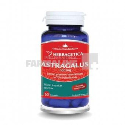 Astragalus 500 mg 60 capsule