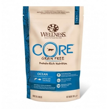 Hrana uscata wellness core dry cu somon si ton, 300 g