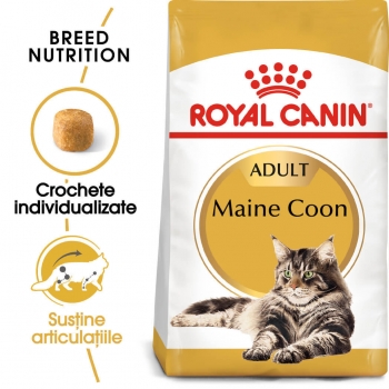 Royal canin adult maine coon, 10 kg
