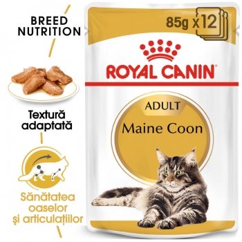 Royal canin adult maine coon, 12 x 85 g