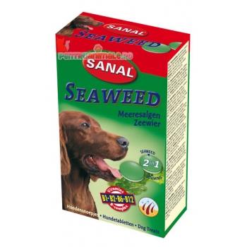 Sanal dog alge marine, 100 g