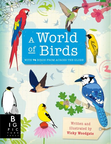 A world of birds | vicky woodgate