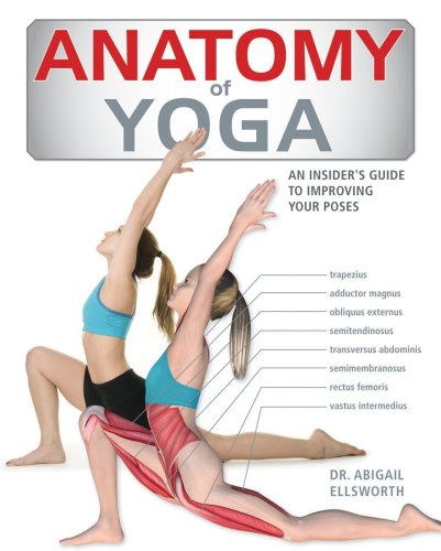 Anatomy of yoga | abigail ellsworth