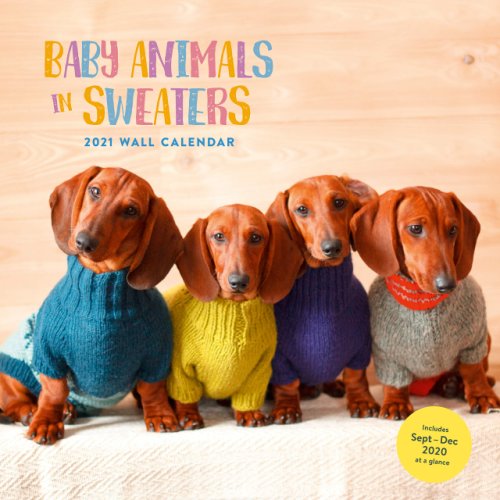 Calendar 2021 - baby animals in sweaters | chronicle books