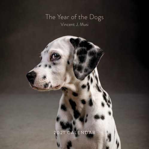 Calendar 2021 - year of the dogs | chronicle books