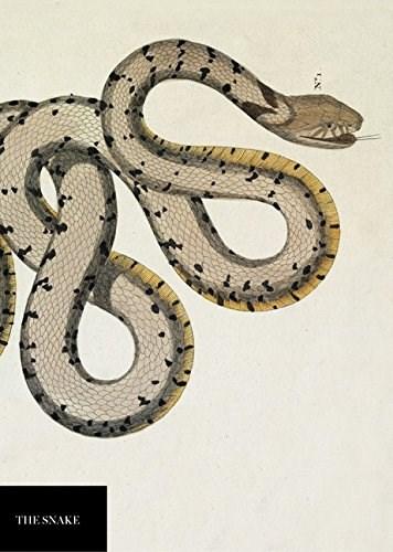 Carnet - natural history museum - snake | 