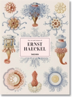Ernst haeckel | taschen