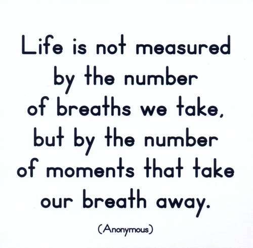 Felicitare - life is not measured | quotable cards