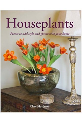 Houseplants: plants to add style and glamour to your home | matthews clare