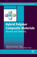 Hybrid polymer composite materials: structure and chemistry | 