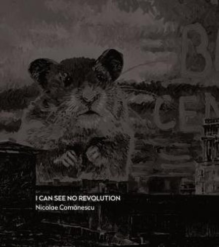 I can see no revolution | nicolae comanescu