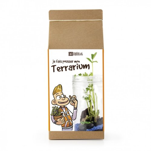 Kit cu terrarium | radis et capucine