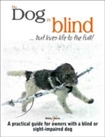 My dog is blind - but lives life to the full! | nicole horsky