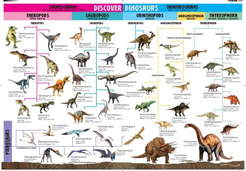 Poster - discover dinosaurs | north parade publishing