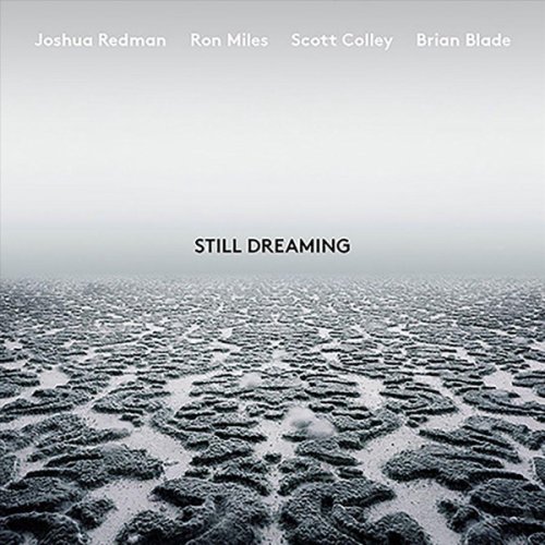 Still dreaming - vinyl | joshua redman