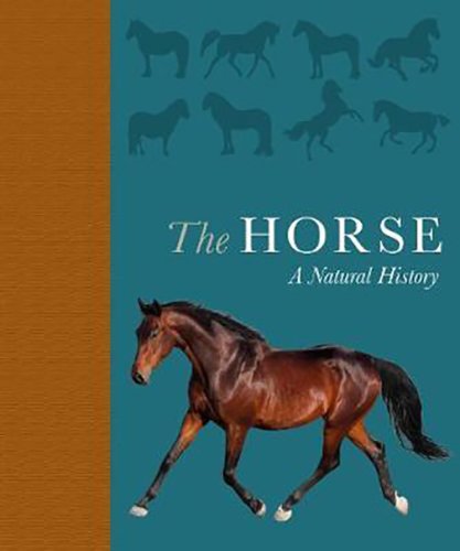 The horse: a natural history | debbie busby, catrin rutland