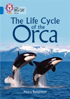 The life cycle of the orca | moira butterfield