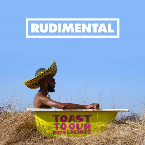 Toast to our differences | rudimental ‎