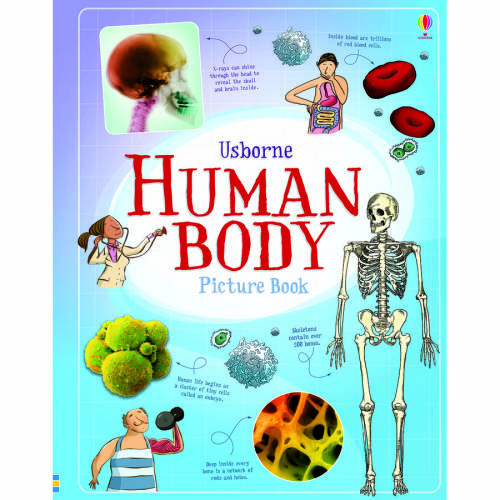 Usborne human body picture book - usborne book (7+)