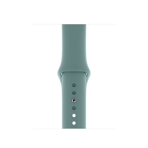 Curea smartwatch apple pentru apple watch 38/40mm cactus sport - regular