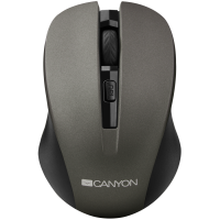 Mouse canyon cne-cmsw1