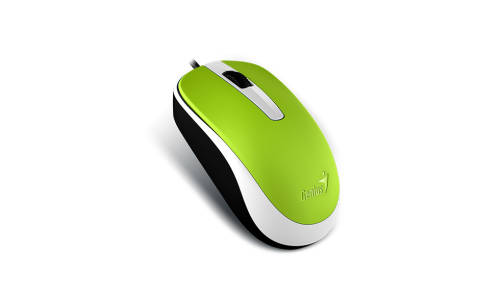 Mouse genius dx-120 green