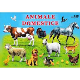Animale domestice, editura biblion