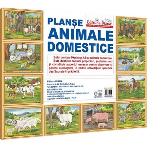 Animale domestice. set 10 planse, editura diana