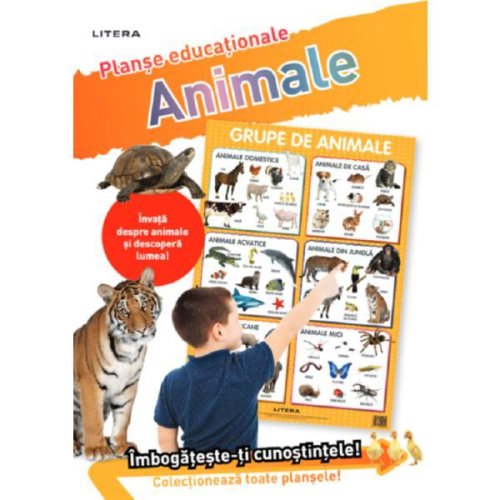Animale. planse educationale, editura litera