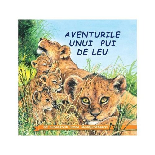 Aventurile unui pui de leu - sa cunoastem lumea inconjuratoare!, editura biblion
