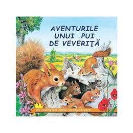 Aventurile unui pui de veverita - sa cunoastem lumea inconjuratoare!, editura biblion