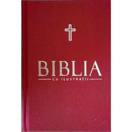 Biblia cu ilustratii vol. 7, editura litera