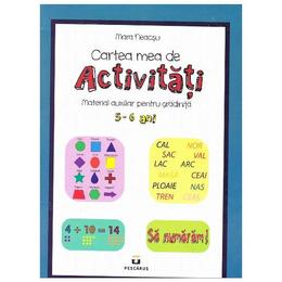 Cartea mea de activitati 5-6 ani - mara neacsu, editura pestalozzi