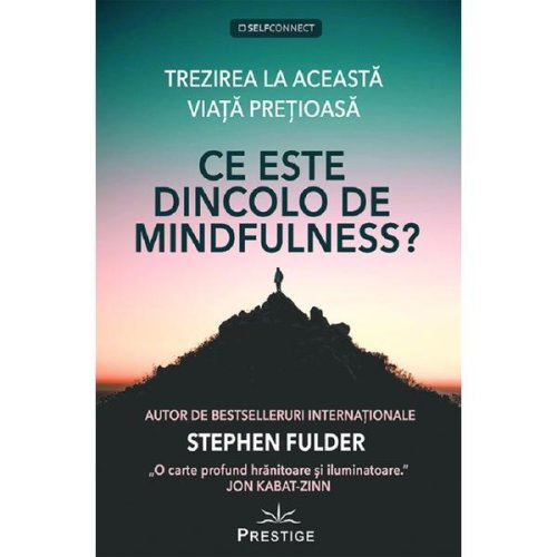 Ce este dincolo de mindfulness? - stephen fulder, editura prestige