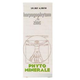 Harpagophytum si zinc medica, 60 capsule