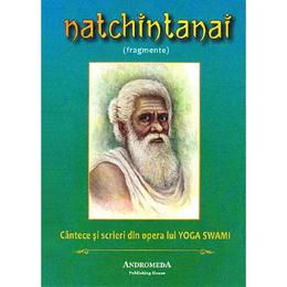 Natchintanai - yoga swami, editura andromeda