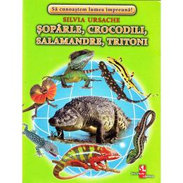 Soparle, crocodili, salamandre, tritoni - cartonase - silvia ursache, editura silvius libris