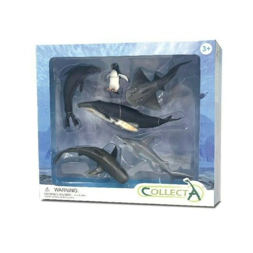 Collecta - set 6 figurine viata marina