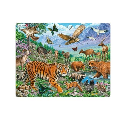 Larsen - puzzle maxi tigrul amur in siberia vara orientare tip vedere 36 de piese