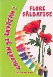 Flori salbatice - coloram si invatam
