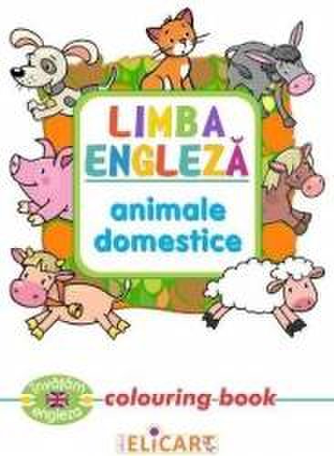 Limba engleza animale domestice colouring book