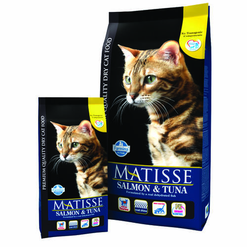 Matisse original cat adult somon si ton 20 kg