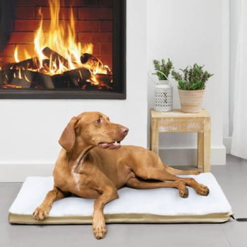 Pat cu încălzire pentru câine innovagoods, 65 x 82 cm