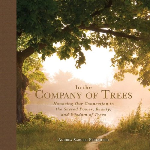 In the company of trees: honoring our connection to the sacred power, beauty, and wisdom of trees
