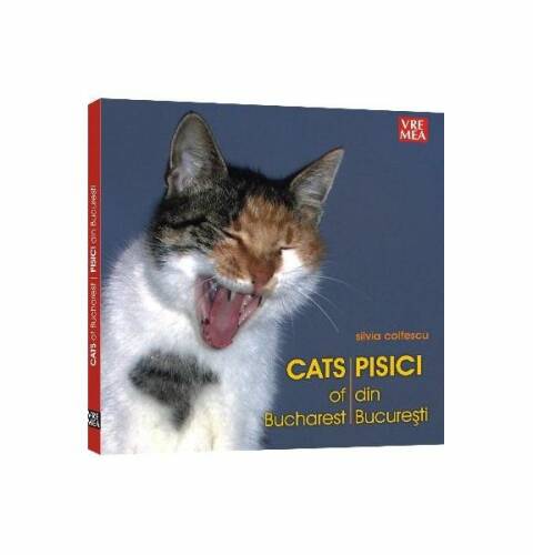 Pisici din bucurești - cats of bucharest (ediție bilingvă română-engleză)