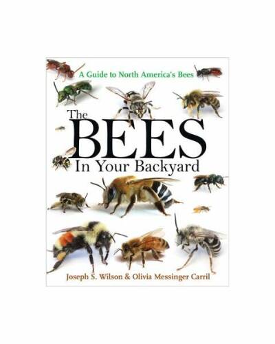 The bees in your backyard: a guide to north america s bees