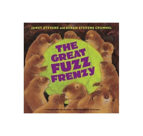 The great fuzz frenzy
