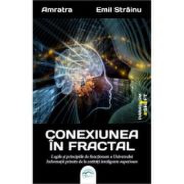 Conexiunea in fractal. legile s principiile de functionare a universului - emil strainu