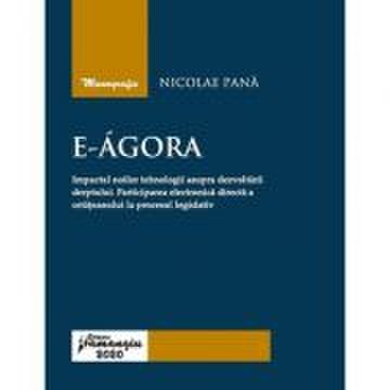 E-agora. impactul noilor tehnologii asupra dezvoltarii dreptului. participarea electronica directa a cetateanului la procesul legislativ - nicolae pan
