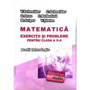 Matematica - exercitii si probleme pentru clasa a x-a. profilul tehnologic - virgiliu schneider